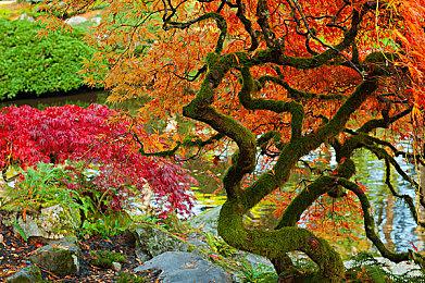 《男友地牢》DLC“秘密武器”上线 免费更新