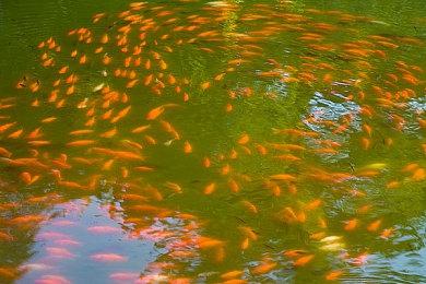 Steam新一周销量榜 SteamDeck五连冠